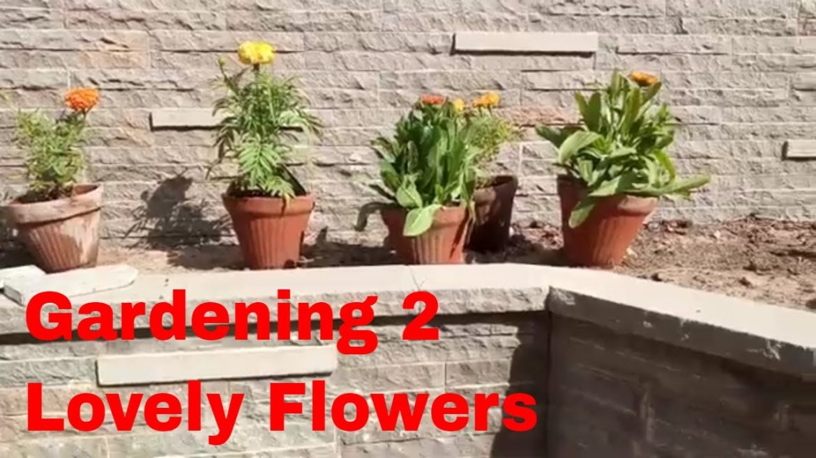 Gardening 2 Gardening 2
