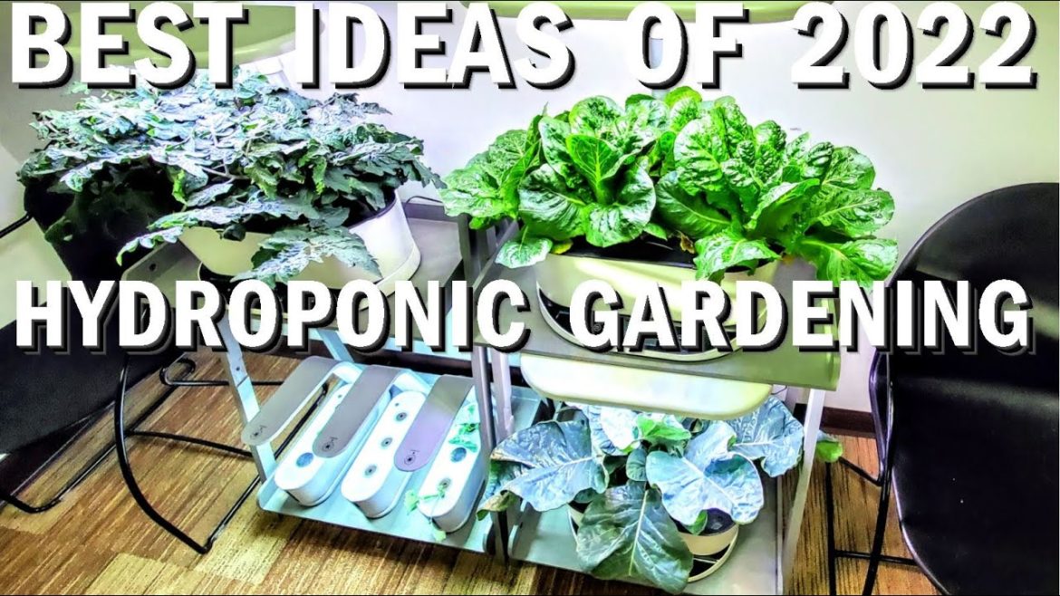 HYDROPONIC GARDENING BEST IDEAS OF 2022 HYDROPONIC GARDENING BEST IDEAS OF 2022
