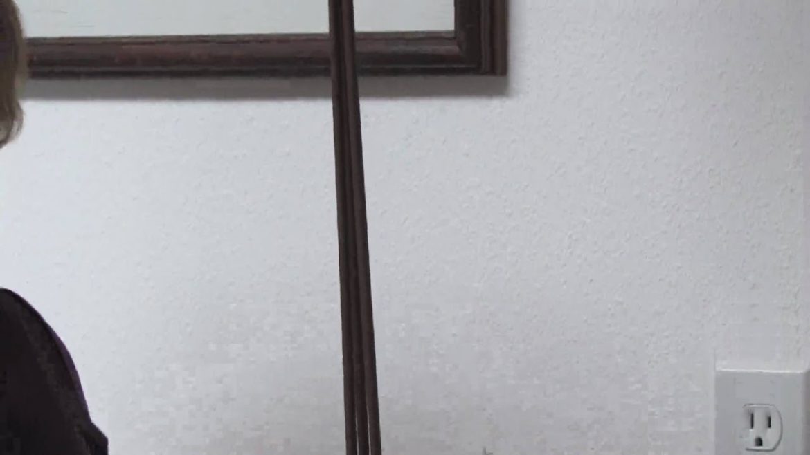 Gardening Tips & Tricks : How to Stake a Plant