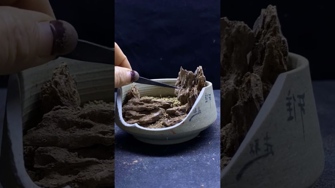 Small Garden Ideas DIY at Home | Miniature Garden | Terrarium Design Ideas | Ep 05 #Shorts Small Garden Ideas DIY at Home | Miniature Garden | Terrarium Design Ideas | Ep 05 #Shorts