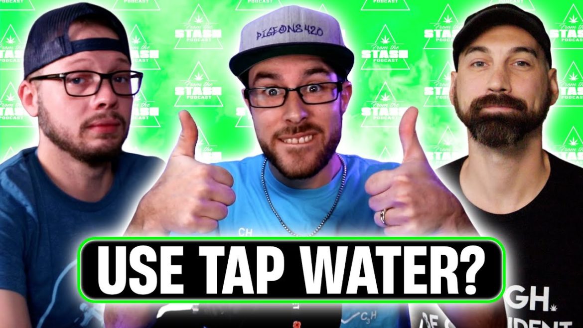 Answering YOUR Gardening Questions! (Q&A #04) – From The Stash Podcast Ep. 107 Answering YOUR Gardening Questions! (Q&A #04) - From The Stash Podcast Ep. 107