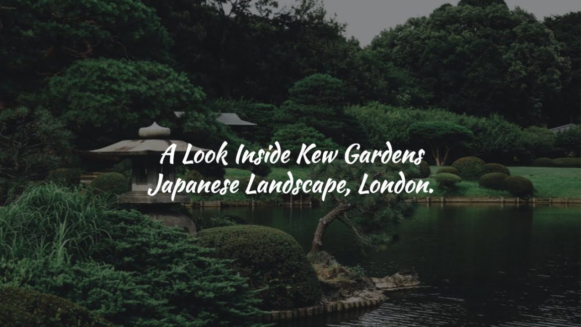 A Look Inside Kew Gardens Japanese Landscape In London