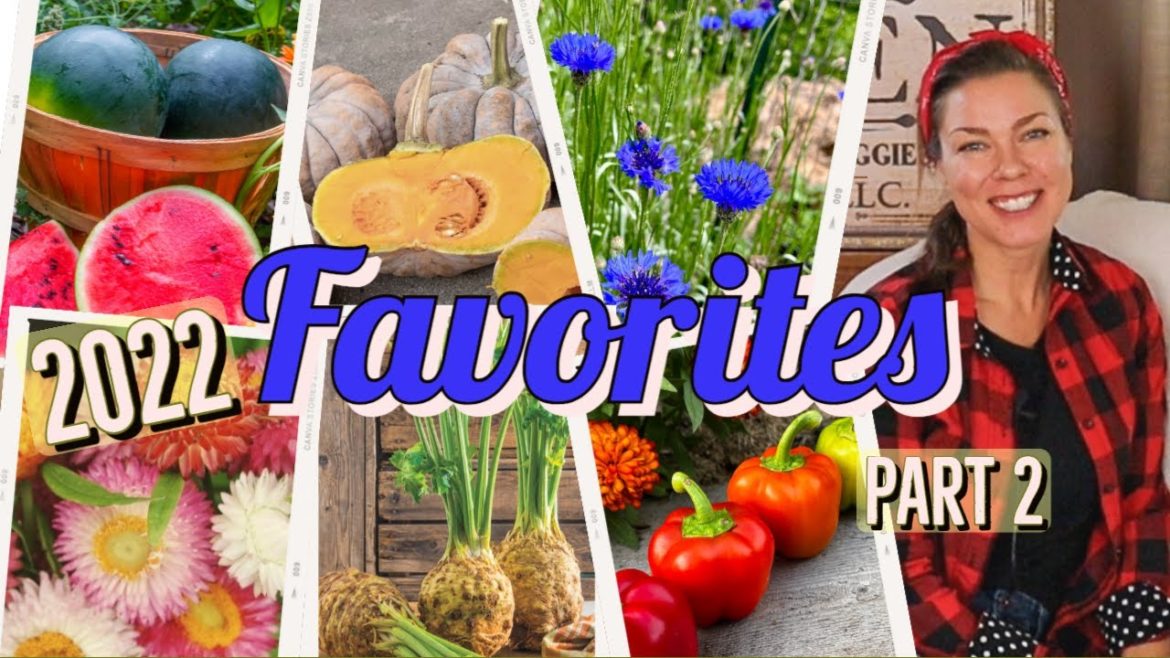 Best Vegetable Varieties to Grow- 2022 Favorites, PART 2 Best Vegetable Varieties to Grow- 2022 Favorites, PART 2