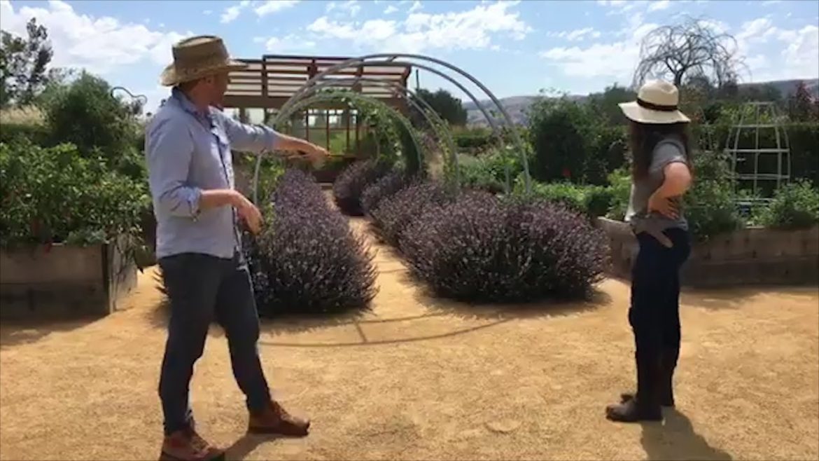 Edible Plants Garden Tour | Sunset