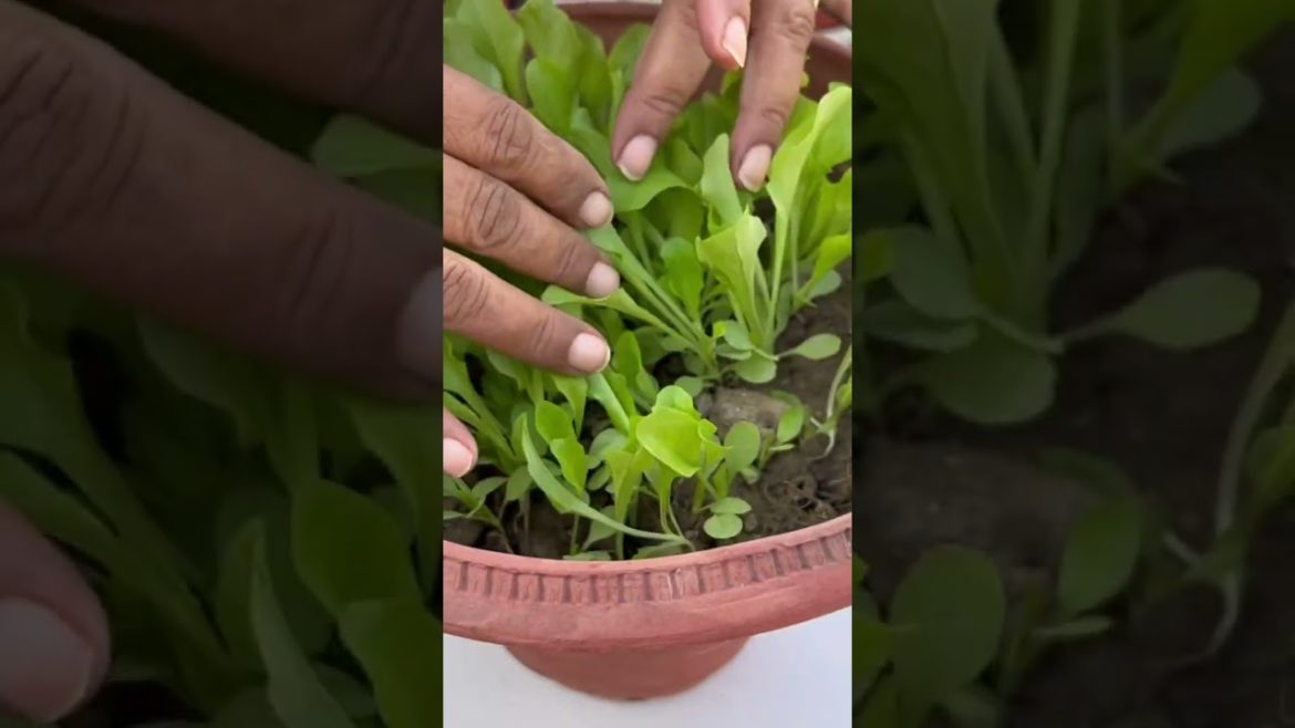लो जी आज इनका भी काम कर दिया