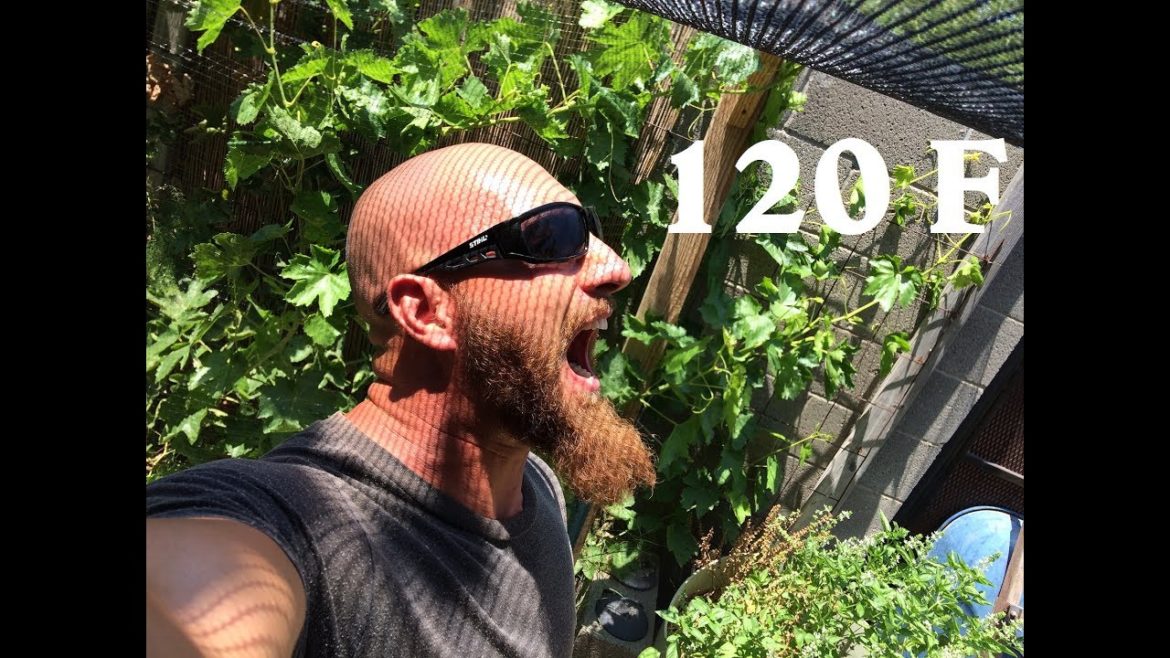 Backyard Garden at 120F