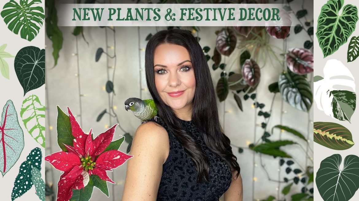 New Plants & Festive Decor Tour 🌿🎄✨🦌