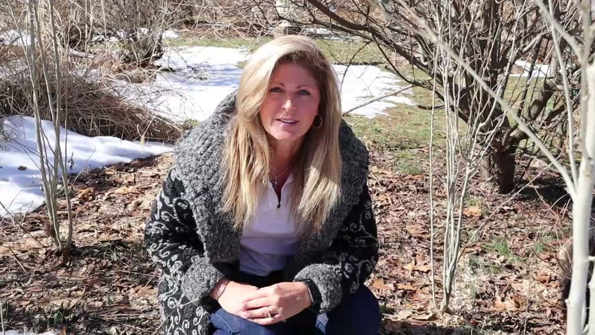 Gardening Tips for Beginners | 5 late Winter Garden Tips Gardening Tips for Beginners | 5 late Winter Garden Tips