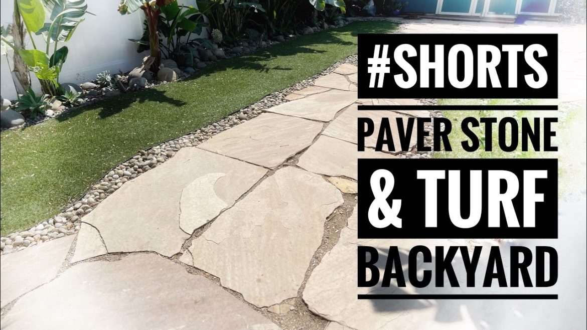#shorts backyard makeover