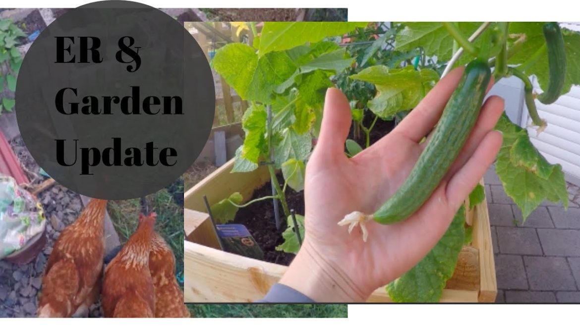 ER Visit & Backyard Garden Update