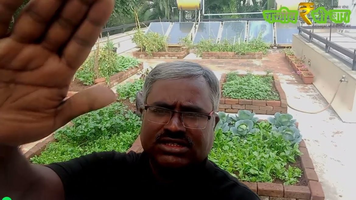 उन्नत अर्थात Advanced Gardening Course...