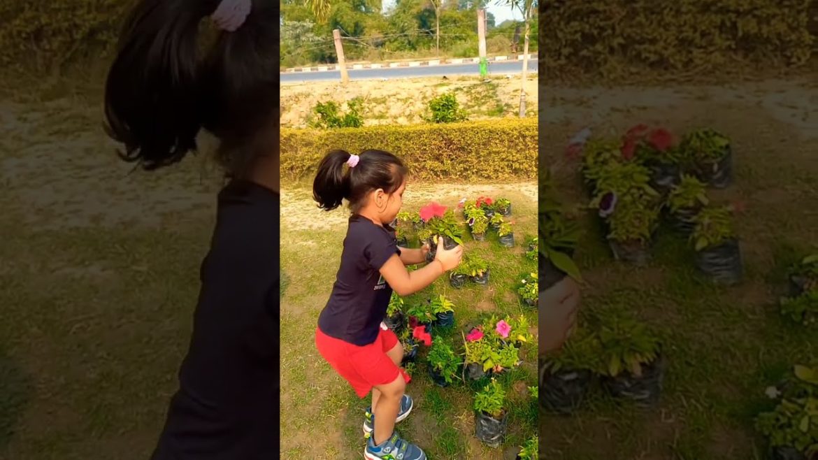 cute baby Phool Le rahi hai #shorts #viral #trending #viralshorts cute baby Phool Le rahi hai #shorts #viral #trending #viralshorts