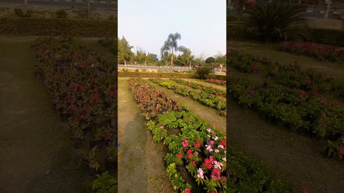 cute baby gardan me #shorts #viral #trending #viralshorts cute baby gardan me #shorts #viral #trending #viralshorts