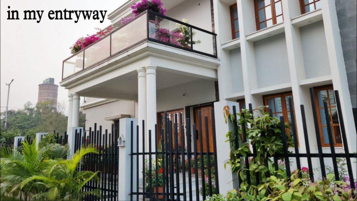 *41| আমার বাড়ির প্রবেশদ্বারের বাগান পরিদর্শন|my home entrance garden tour | meraki |