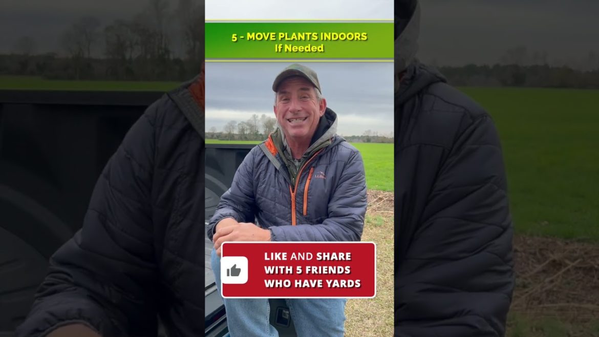 5 Tips to Protect Your Landscape BEFORE this Cold Snap π₯Ά | STEPS TO TAKE NOW 5 Tips to Protect Your Landscape BEFORE this Cold Snap π₯Ά | STEPS TO TAKE NOW