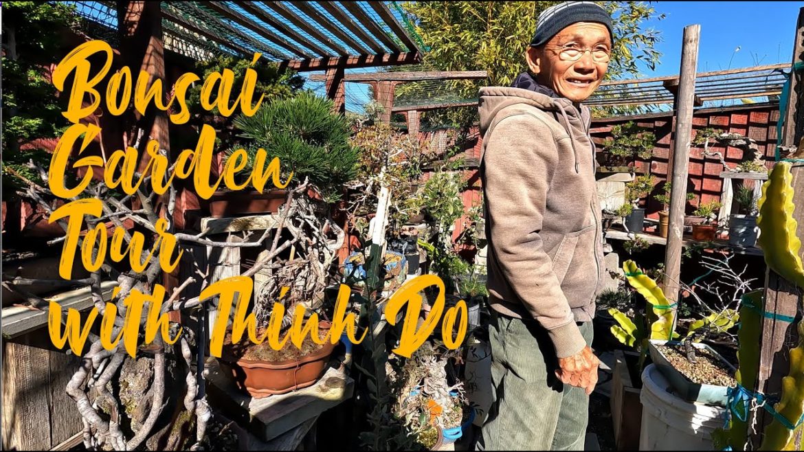 Bonsai Garden Tour with Thinh Do Bonsai Garden Tour with Thinh Do