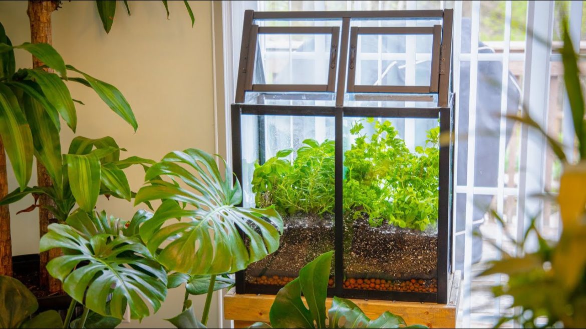 The Edible Herb Terrarium