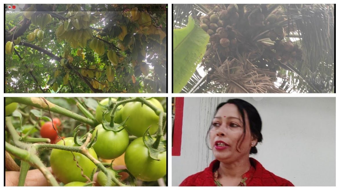 Backyard Garden Over View | My Backyard Garden Tour |