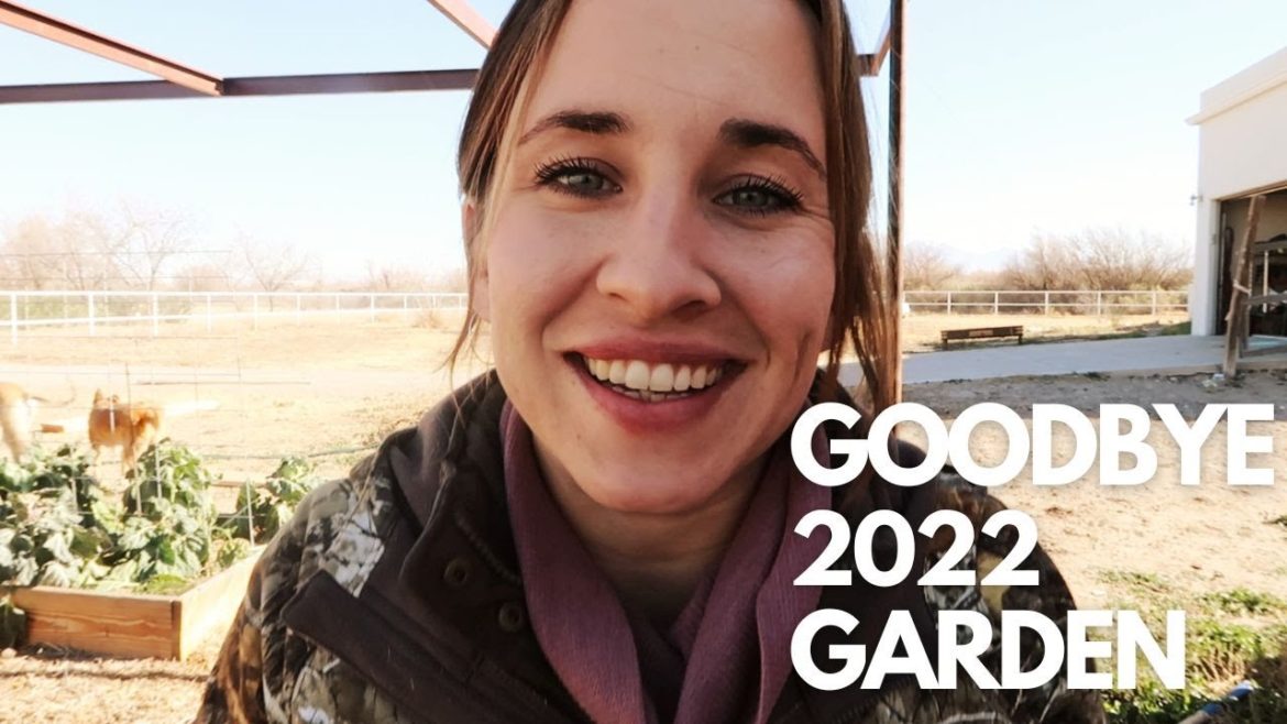 The Garden's Time to Rest | Winter Homestead VLOG