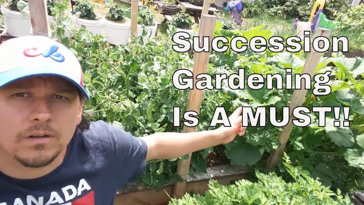 Succession Vegetable Gardening Methods