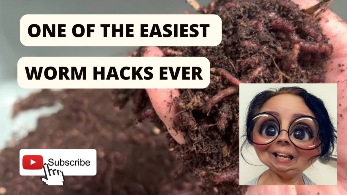 One of the Best worm hacks ever! TheGardenAndWormLady.com #wormcomposting #gardening #wormfarm