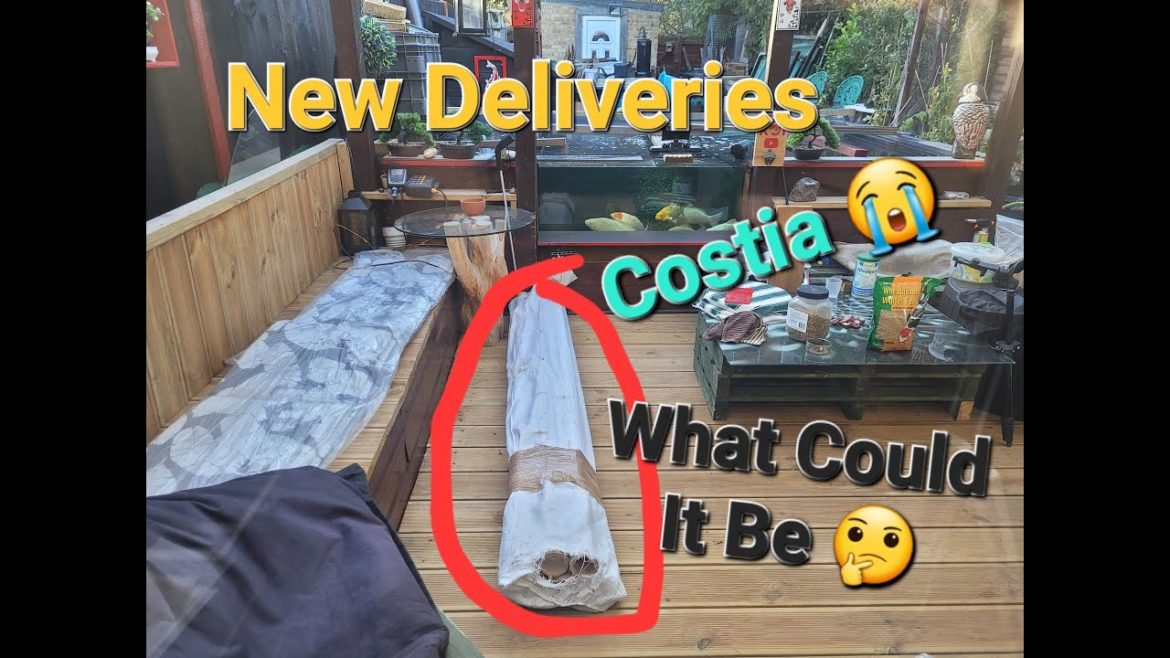 NEW DELIVERIES! π COSTIA π© & Tidying the Japanese Garden Ready for winter ππ»ππ» NEW DELIVERIES! π COSTIA π© & Tidying the Japanese Garden Ready for winter ππ»ππ»