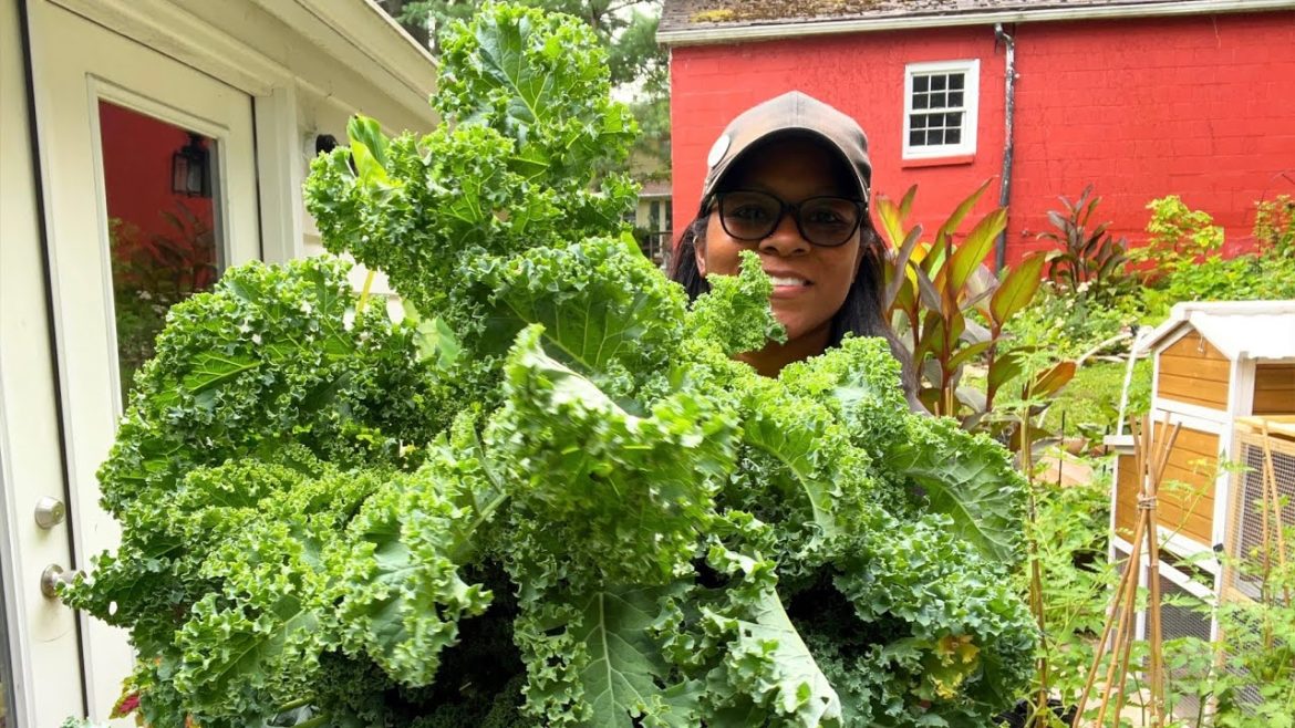 VEGETABLE GARDENING IN OHIO | PREPARE YOUR GARDEN BEDS FOR A FALL CROP | PRESERVING YOUR HARVEST