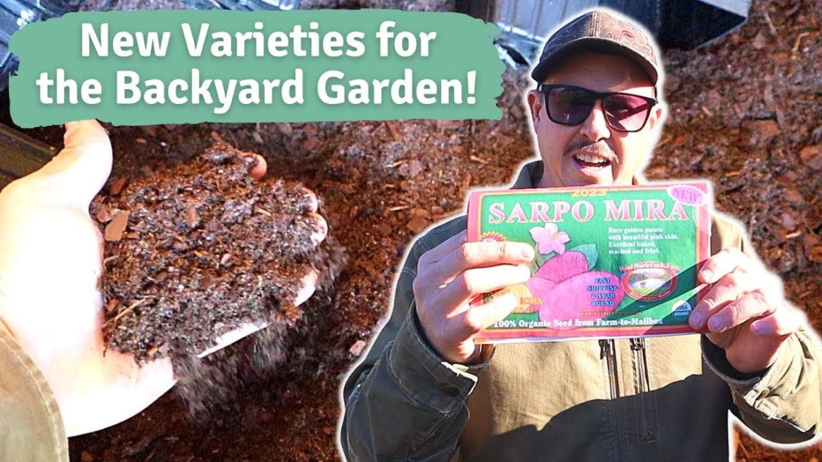 I CAN'T WAIT TO GROW THESE!