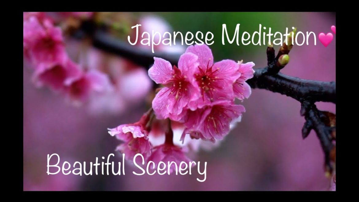 Beautiful Japanese Landscape & Japanese Meditation Music! Deep Relaxation Meditate Relax After Work