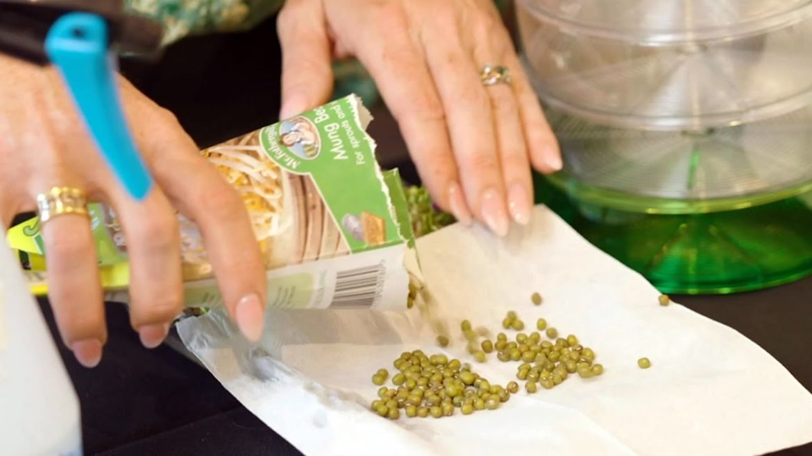 The Garden Gurus - Edible or Flowering plant of the week