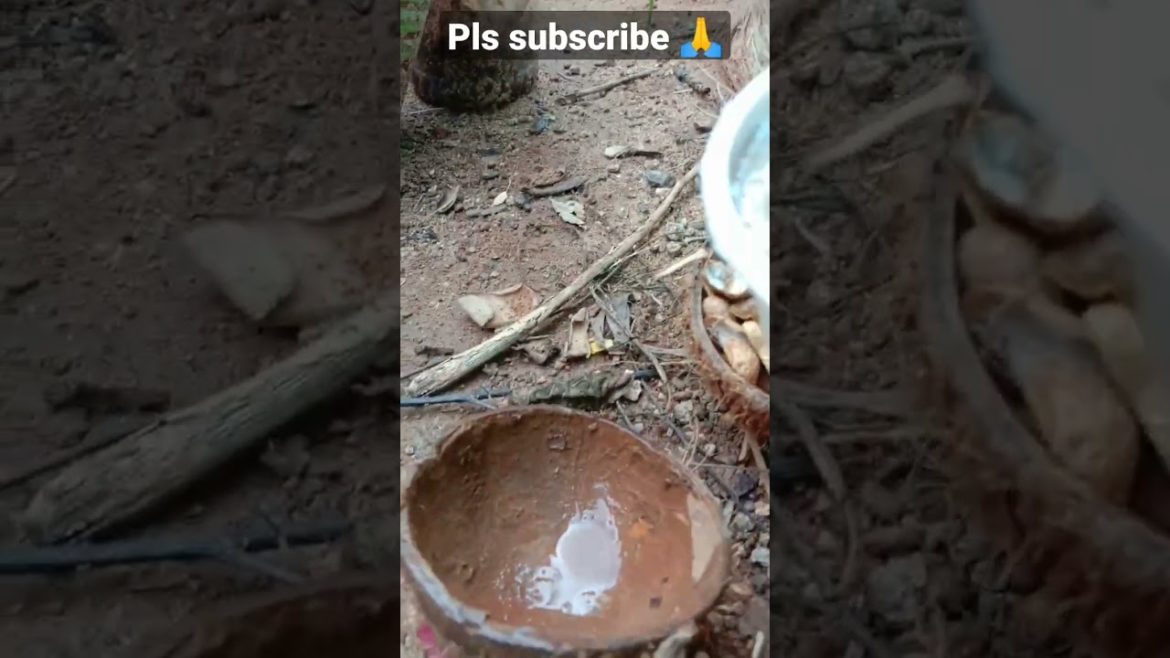 don't throw away 😳😳 #shorts #shortsfeed #fertilizer #nature #garden #gardening #tips #garden #hacks don't throw away 😳😳 #shorts #shortsfeed #fertilizer #nature #garden #gardening #tips #garden #hacks
