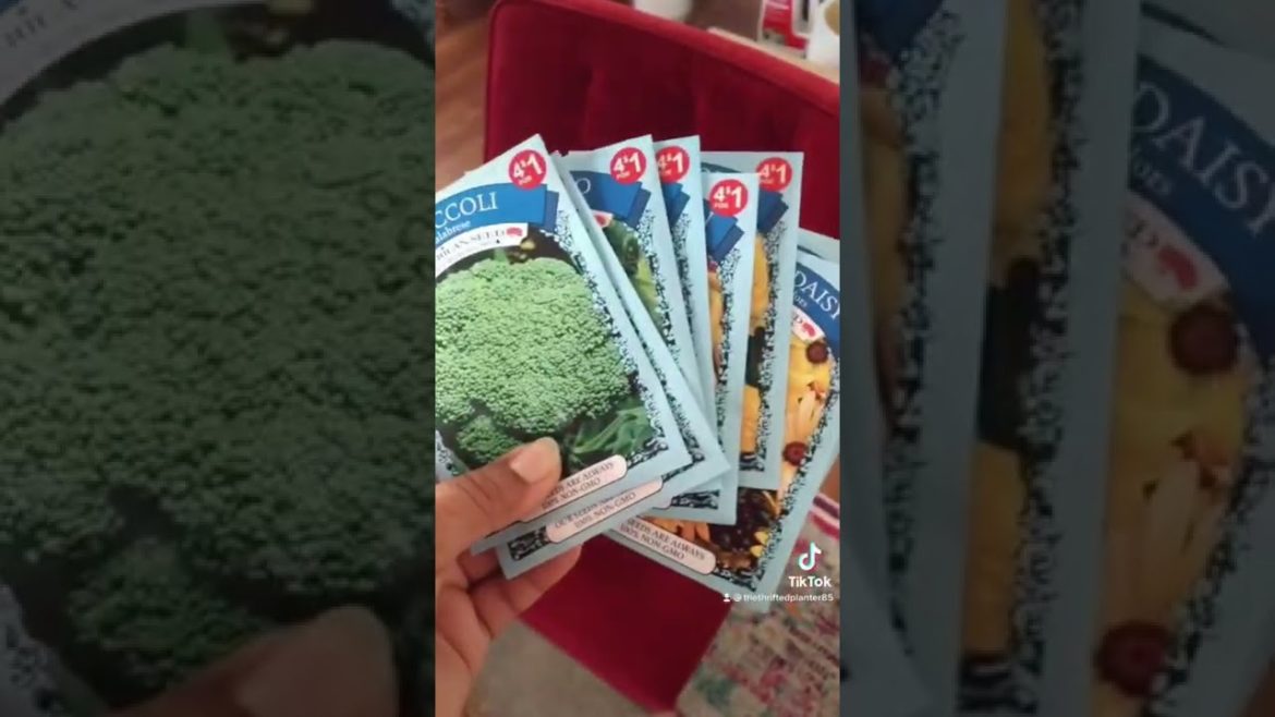 Dollar Tree Must haves for the home gardener