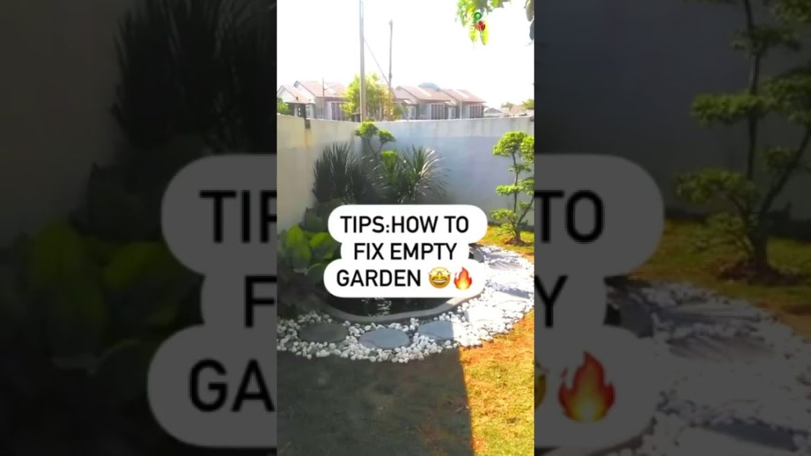 How to fix your empty garden with fish pond and landscape? | Konzept Garden How to fix your empty garden with fish pond and landscape? | Konzept Garden