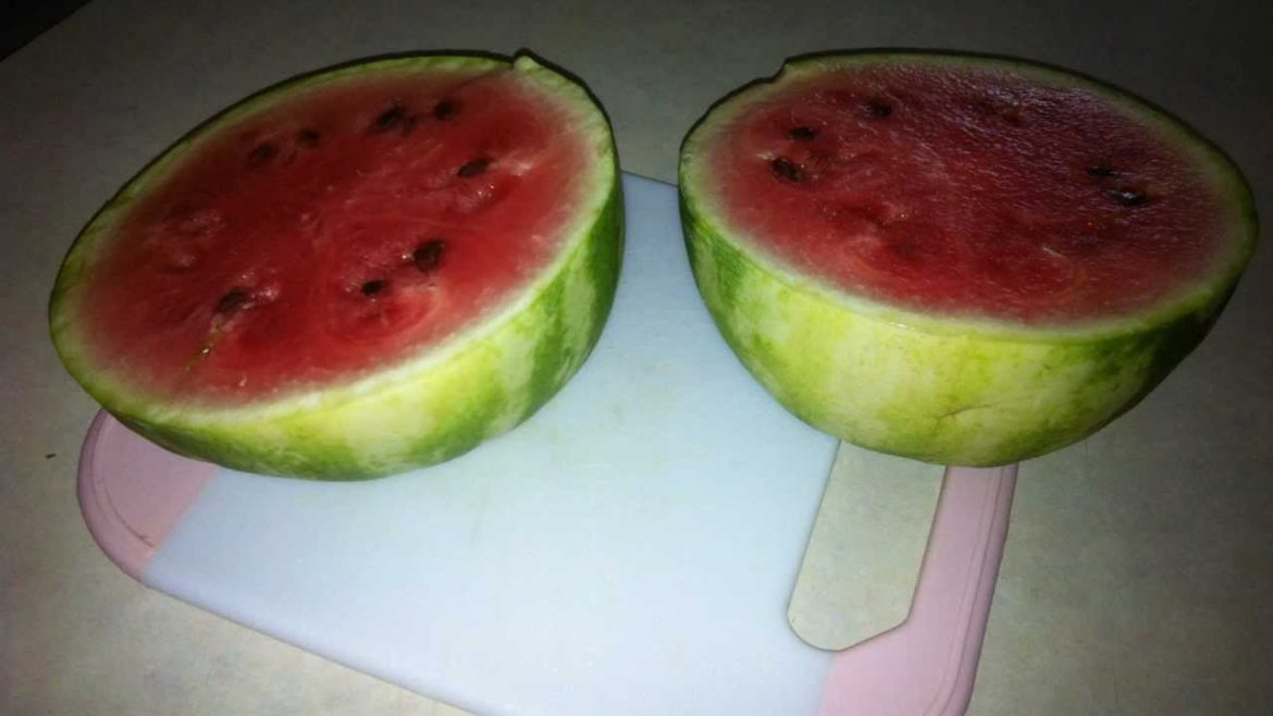 My Container Garden – 6/19/12 – (ripe watermelons!) My Container Garden - 6/19/12 - (ripe watermelons!)