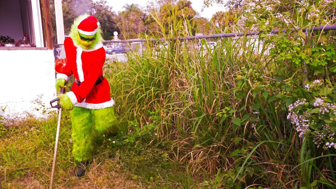 The GRINCH STEALS Christmas & Cuts A OVERGROWN Yard For FREE Without PERMISSION!