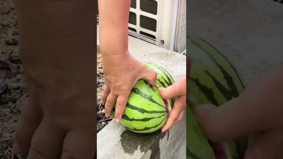 how to growth vegetable #naturalgarden