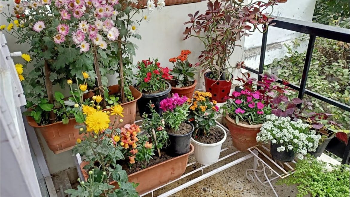 Small Balcony makeover  with plants on stands