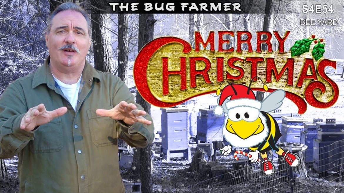 An Important Message From the Bug Farmer Chanel #beekeeping #insects An Important Message From the Bug Farmer Chanel #beekeeping #insects