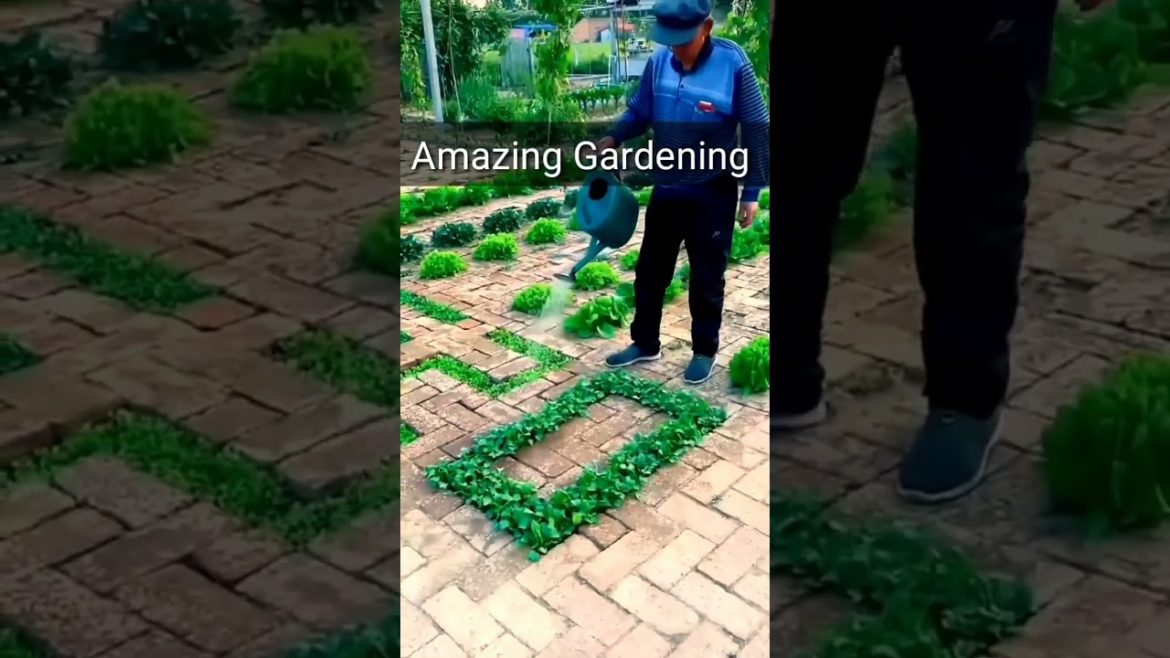 Unique way to decorate backyard. #animals #plants #thedodo #shorts #kitchengarden #urbangardening Unique way to decorate backyard. #animals #plants #thedodo #shorts #kitchengarden #urbangardening