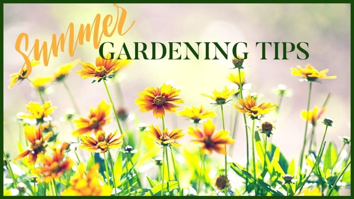 Summer Garden Tips|Tips to Keep Your Garden Going and Growing Throughout the Season Summer Garden Tips|Tips to Keep Your Garden Going and Growing Throughout the Season