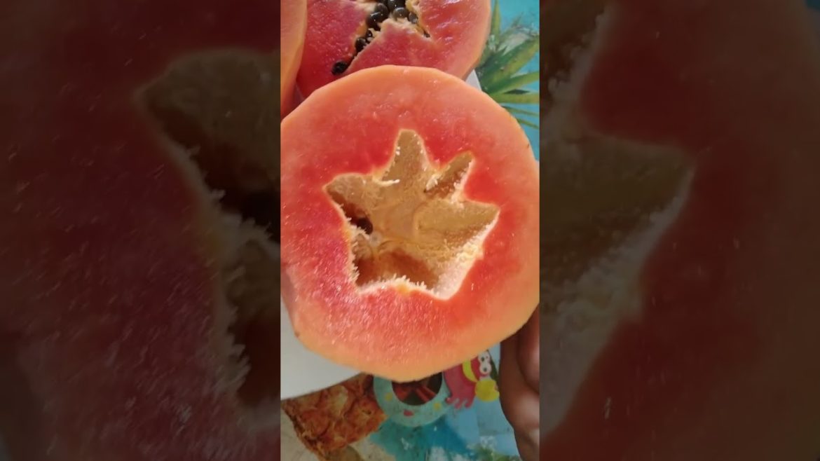 Eat sweet ripe papaya from my backyard #shorts #garden #subscribe  #ArunreasGARDEN