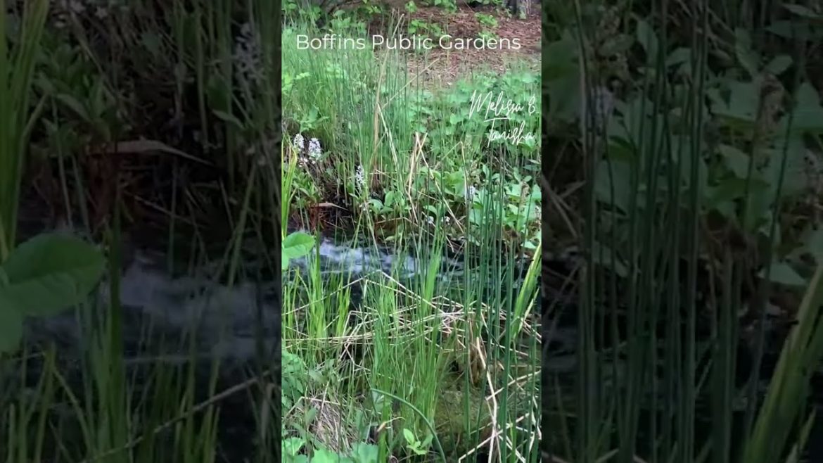 Boffins Park #shorts Innovation place #shorts