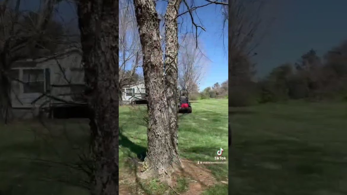 Already counting down the days until Spring! ๐๐ช #lawncare #lawnmaintenance #lawn Already counting down the days until Spring! ๐๐ช #lawncare #lawnmaintenance #lawn