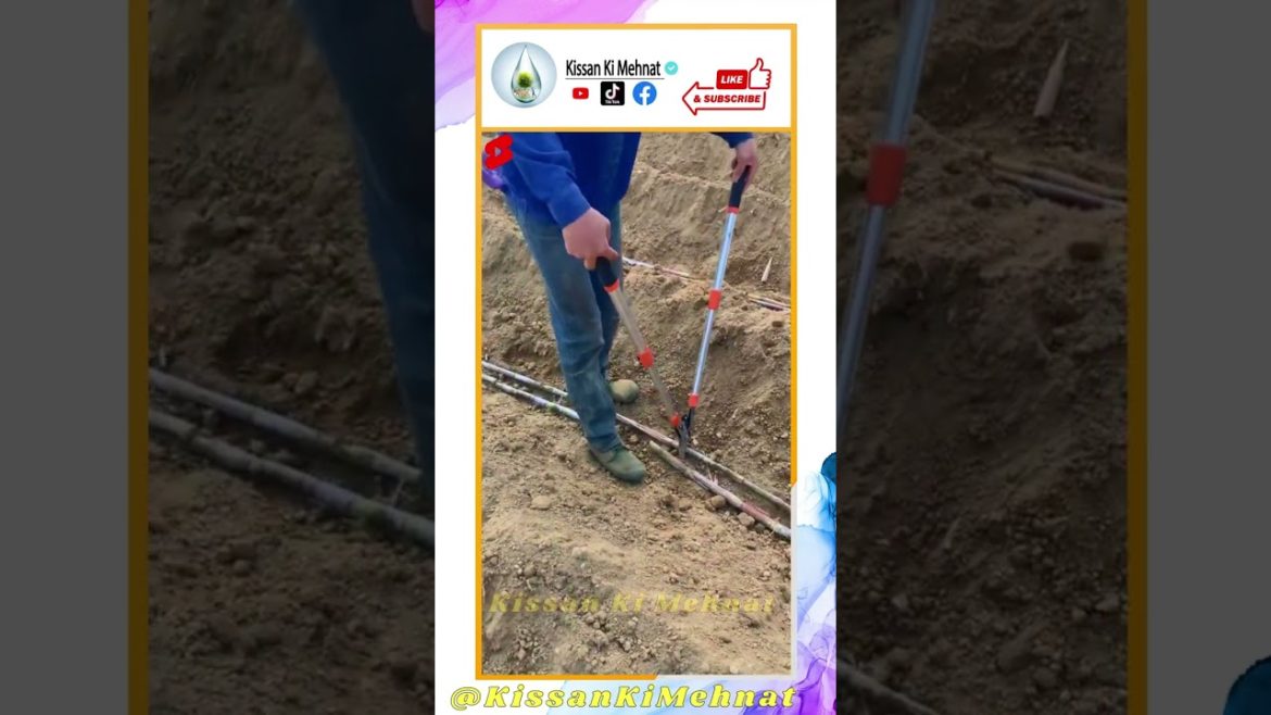 Sugarcane Cutting Tool //  Cutting Tools // Gardening Scissors // Cutters // Agriculture Tool