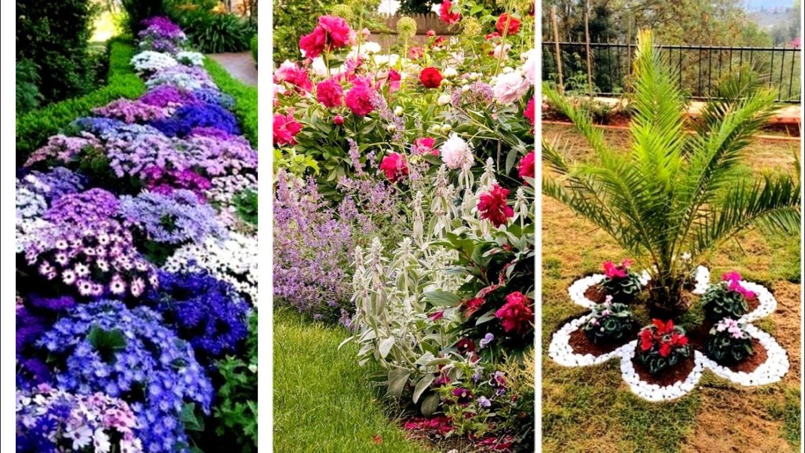 Beautiful Backyard Garden Ideas 2022 | Decor your backyard with gardening