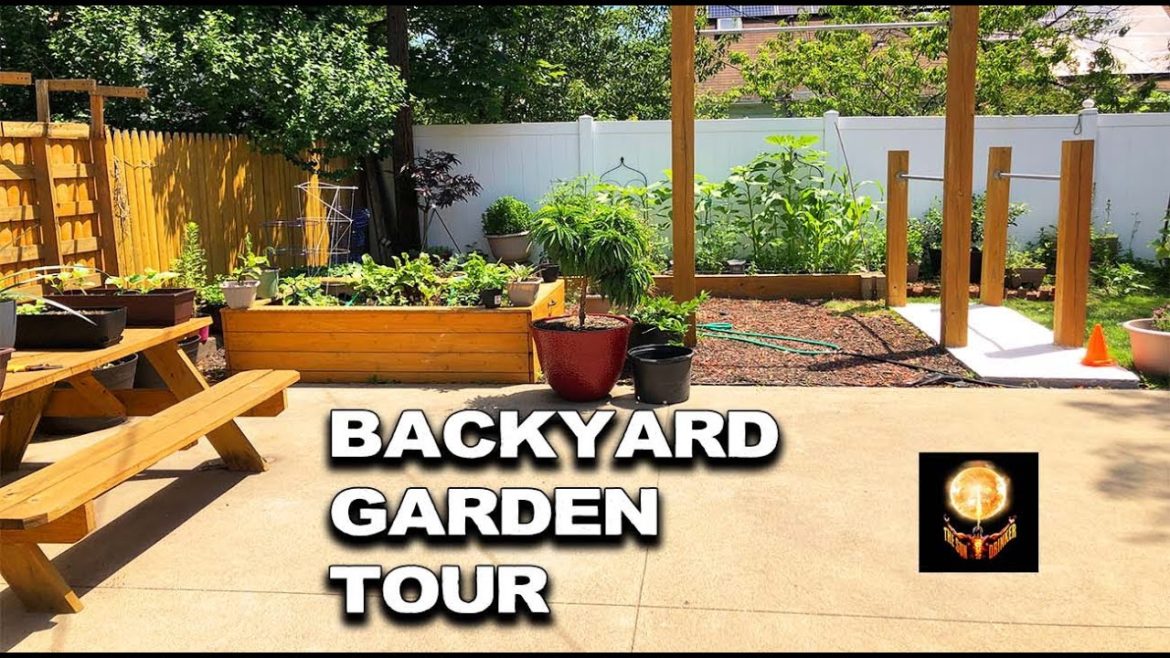 Backyard Garden Tour 2022, Raised Bed Vegetable Gardening Zone 7, 7a, 7b Backyard Garden Tour 2022, Raised Bed Vegetable Gardening Zone 7, 7a, 7b