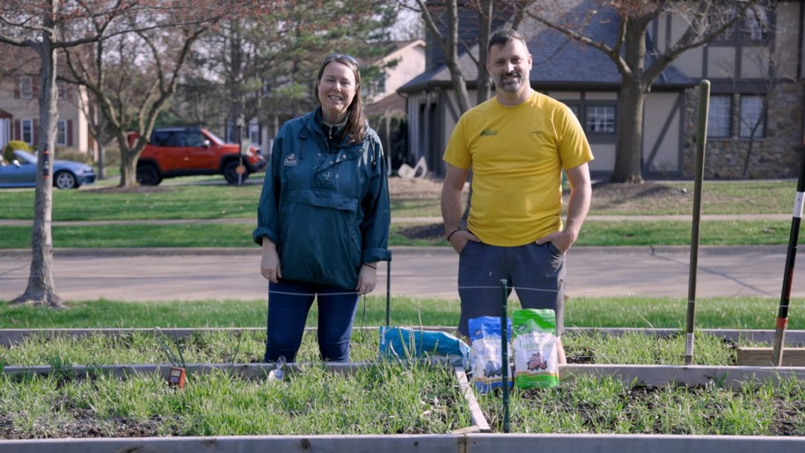 PETITTI Vegetable Gardening in Raised Beds | Part 14: How to Till Winter Wheat in Spring PETITTI Vegetable Gardening in Raised Beds | Part 14: How to Till Winter Wheat in Spring