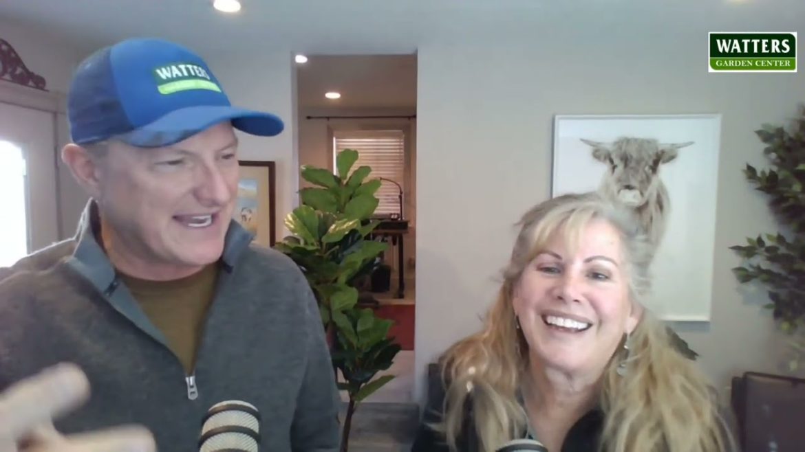 Behind the Scenes with the Mountain Gardeners – Insider Tips on Better Flowers this Spring