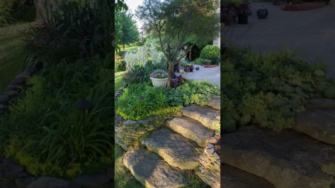 SMALL GARDEN INSPIRATION #shorts #viral #garden