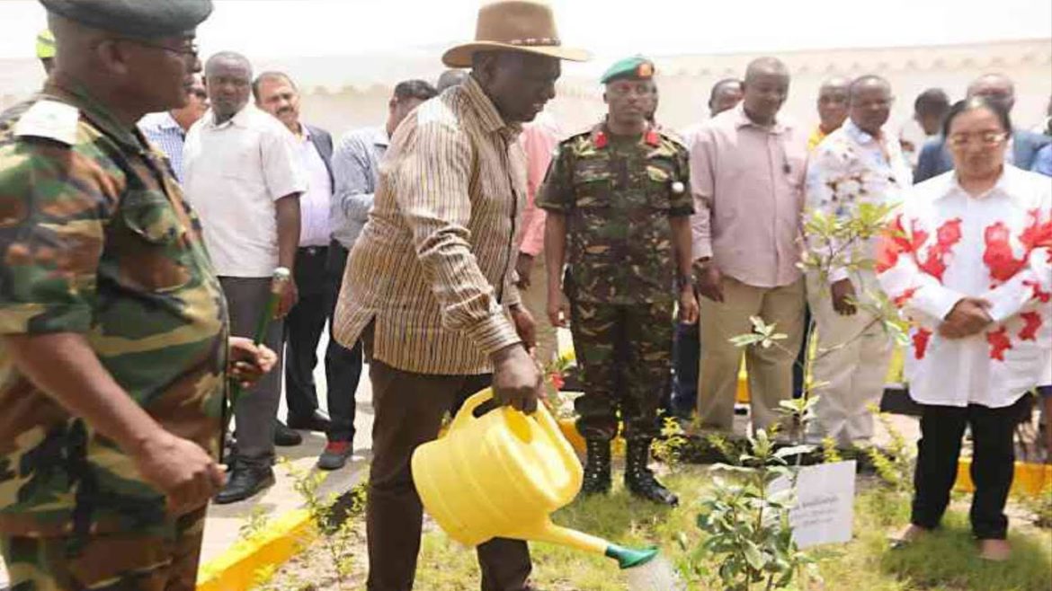 LIVE:PRESIDENT RUTO OFFICIALLY LAUNCHING TREE PLANTING IN NGONG HILLS KAJIADO COUNTY